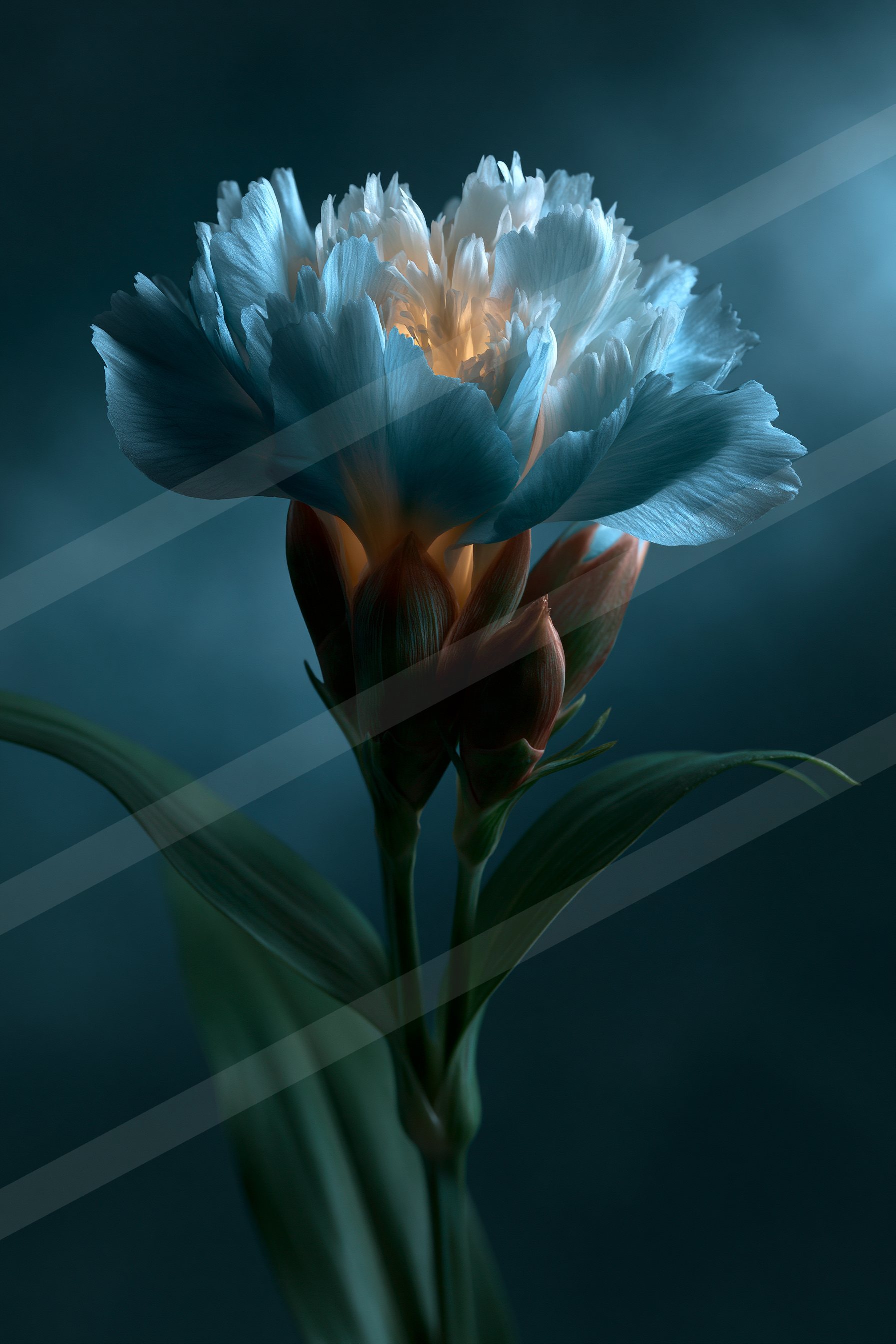 An ethereal macro nature scene of a tulip.