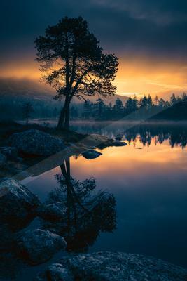 A blue hour water scene of lake, trees, sunrise.