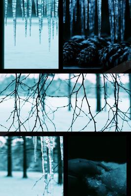 A bright nature scene of forest, trees, abstract texture.