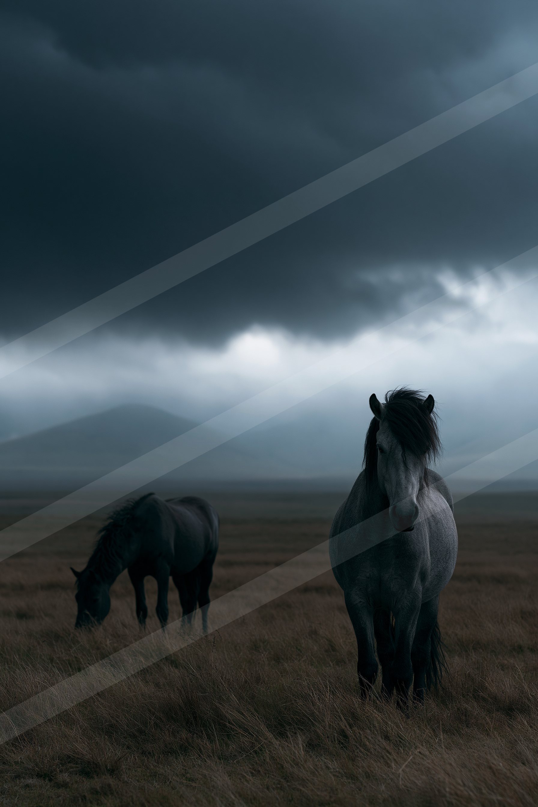 Two horses standing in a vast field under an ominous, storm-laden sky.