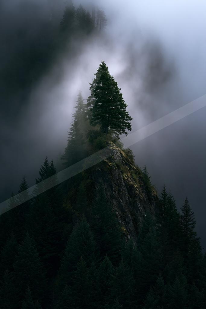 A dramatic nature scene of trees, mountains, forest.