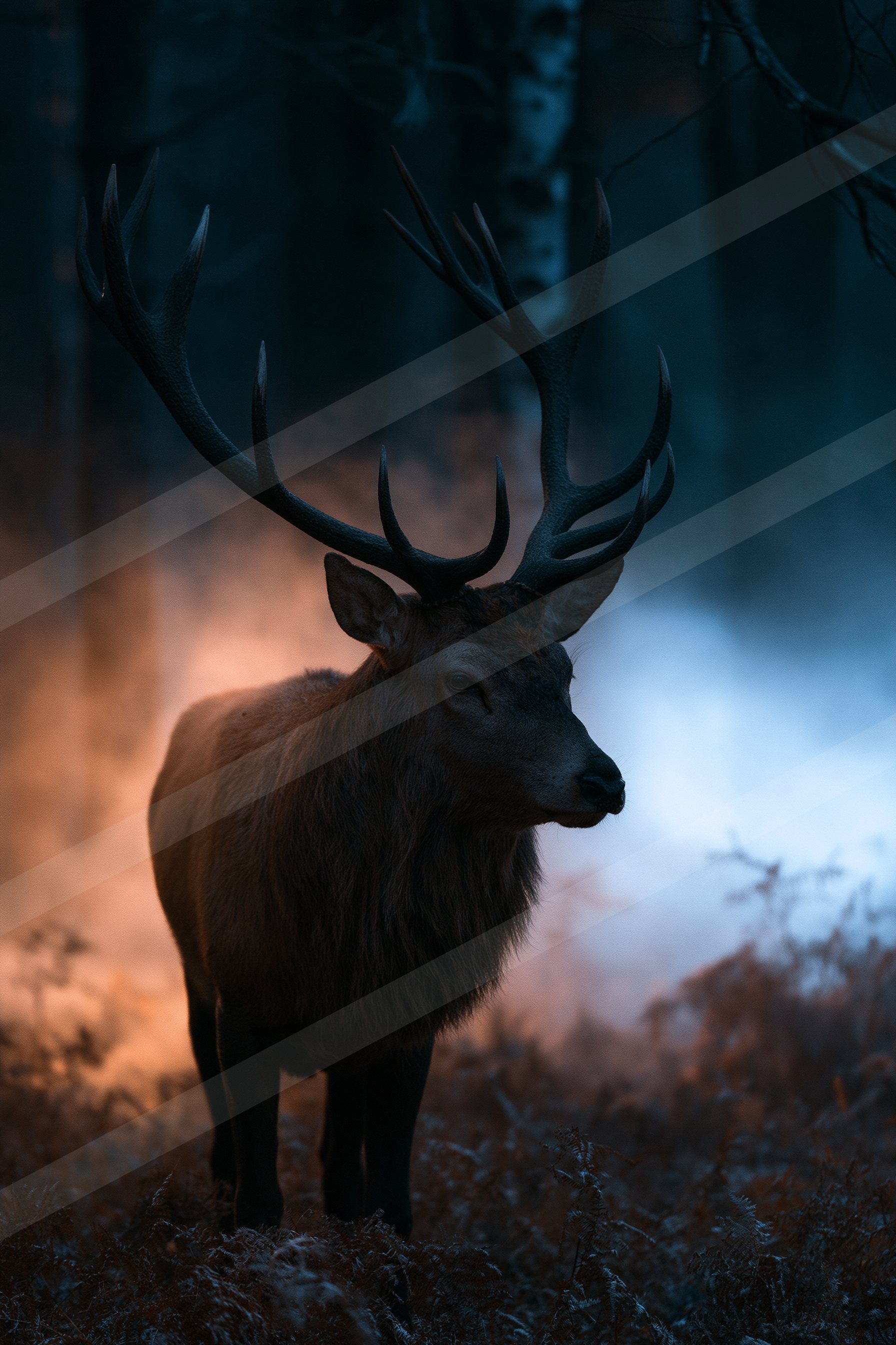 A large stag with impressive antlers stands silhouetted against a misty forest backdrop, illuminated by soft light.