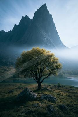 A serene nature scene of trees, mountains.