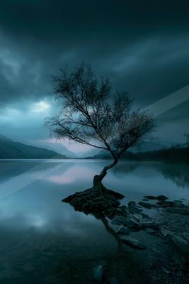 A serene water scene of lake, trees.
