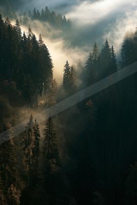 A dramatic nature scene of forest, mountains, valley.