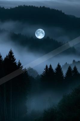 A bright full moon illuminates a dense sea of fog rolling through a dark coniferous forest at night, with silhouetted pine trees in the foreground and layered h