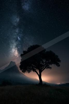 A night sky scene of starry sky, trees.