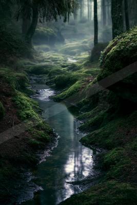 A serene long exposure water scene of river, forest, fog.