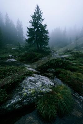 A serene water scene of river, trees, forest.