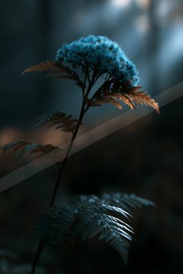 A blue hour nature scene of flowers, forest, plants.