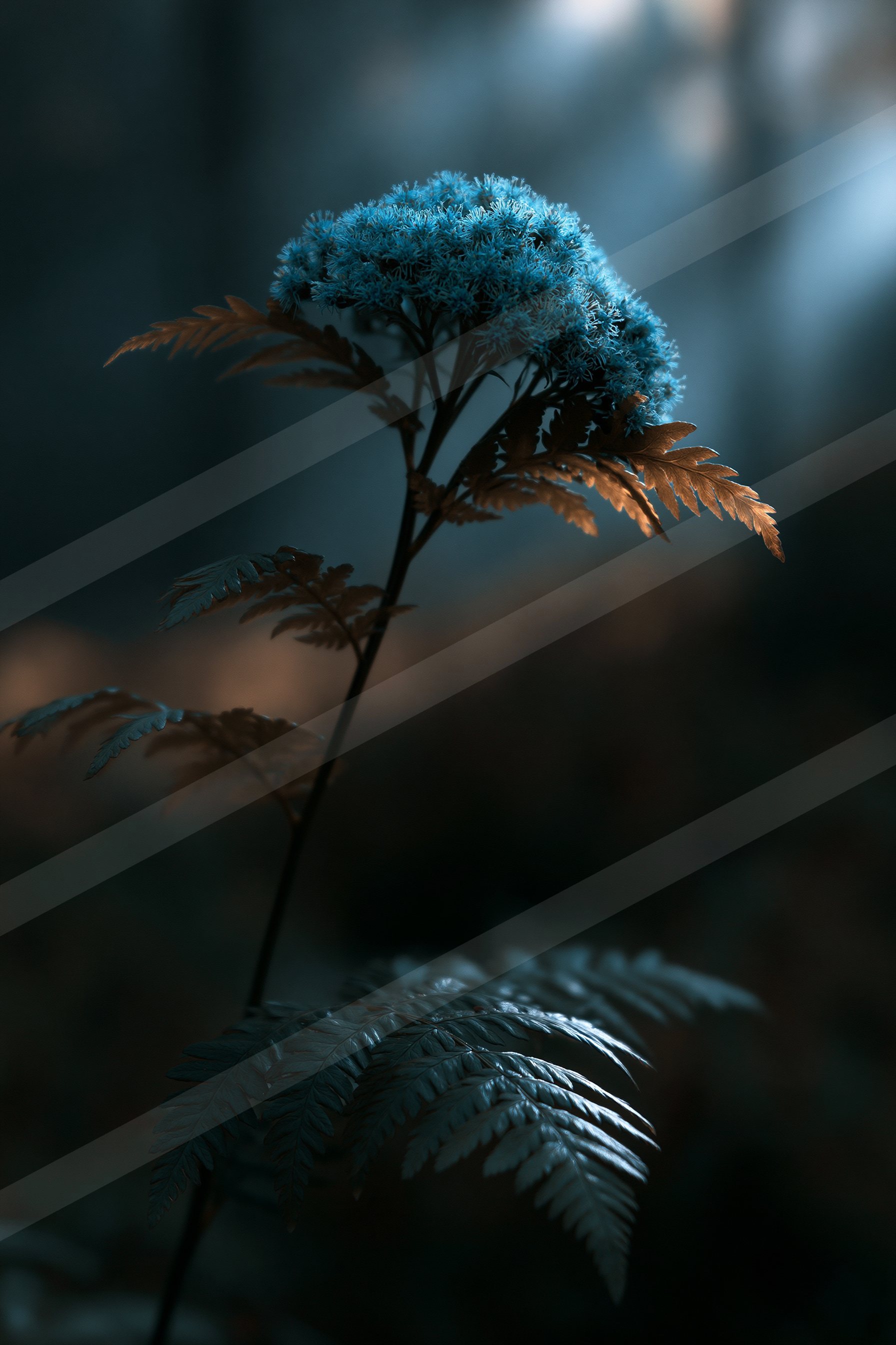 A blue hour macro nature scene of a fern, reflection.