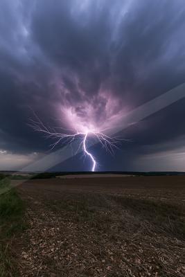 A powerful lightning bolt illuminates the dark storm clouds above an open field, creating a striking contrast against the ominous sky.