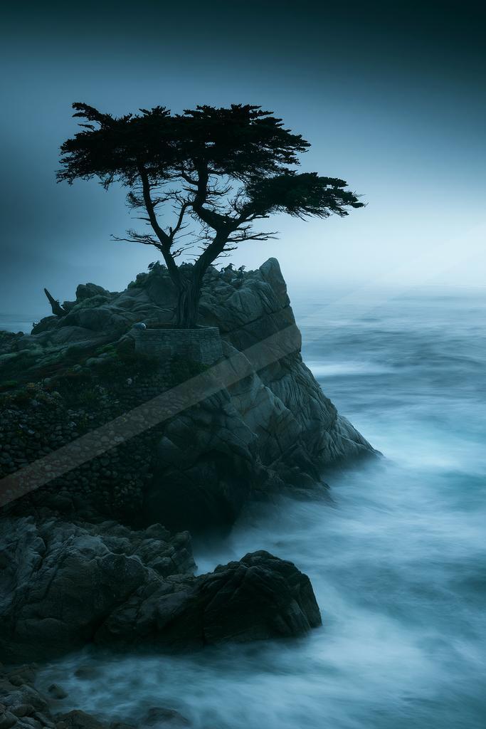 A blue hour nature scene of trees, beach, waterfall.