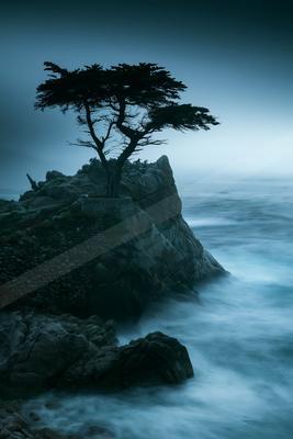 A blue hour nature scene of trees, beach, waterfall.