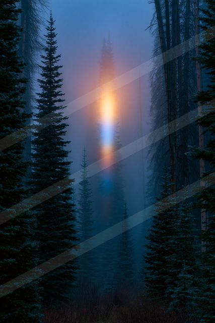 A mysterious high contrast sky scene of a sunrise, fog.