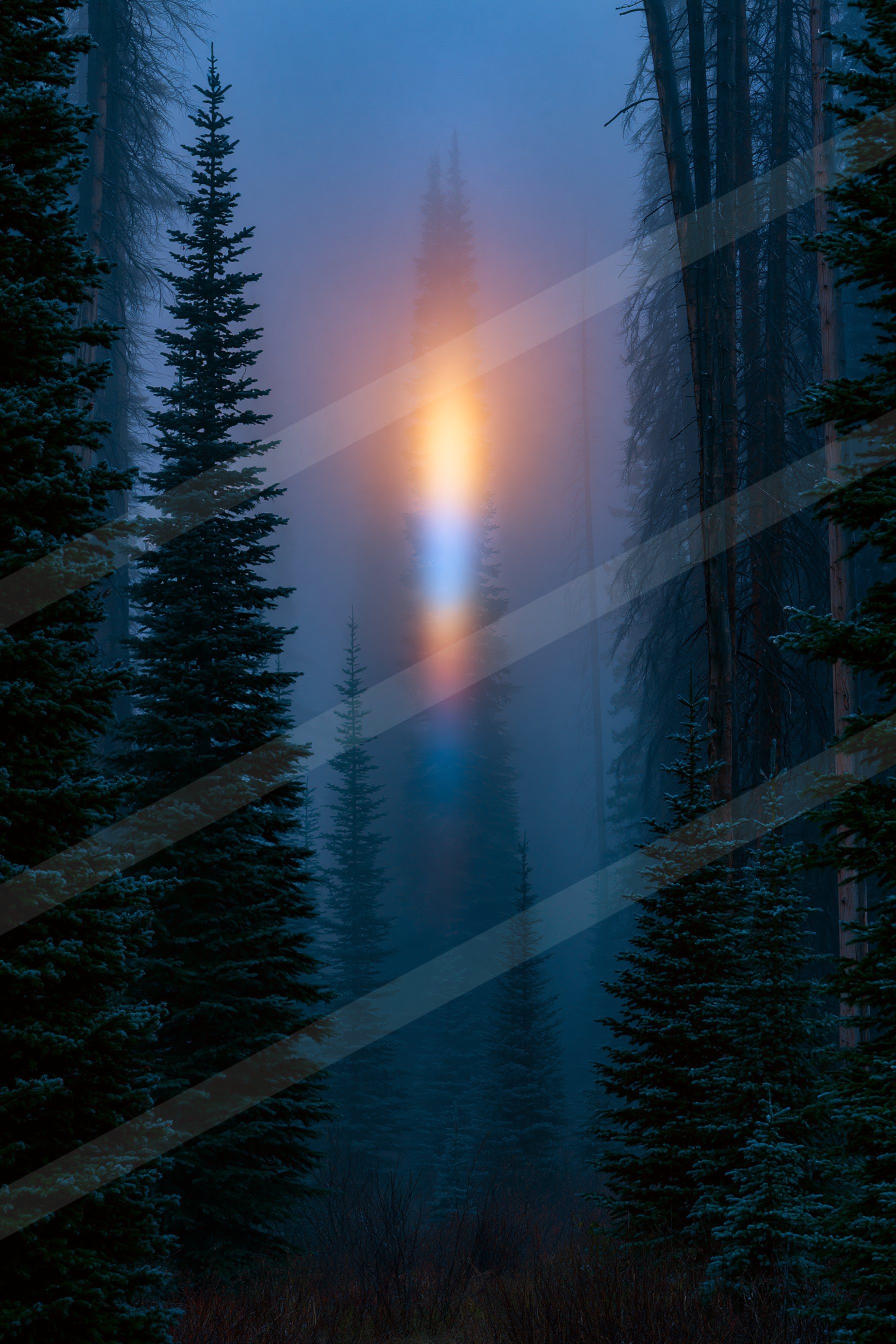 A mysterious high contrast sky scene of a sunrise, fog.