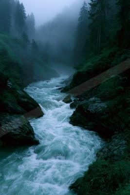 A fast-flowing turquoise river with white rapids winds through a dense, foggy evergreen forest with steep rocky banks covered in green moss and vegetation.