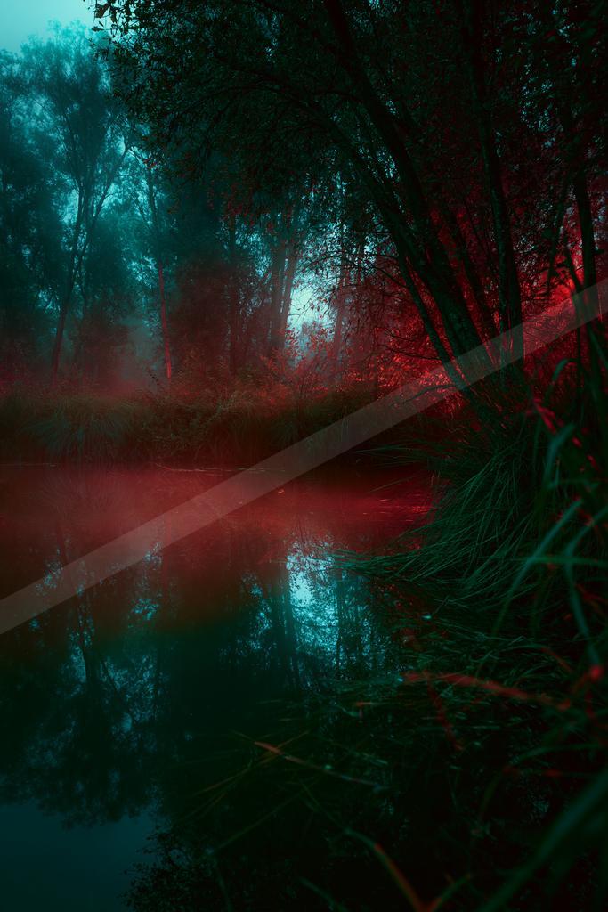 A night water scene of lake, forest, river.