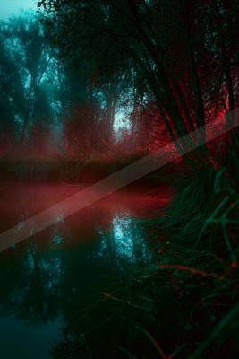 A night water scene of lake, forest, river.