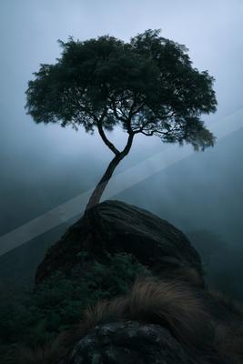 A black-toned moody photograph of cliff, valley, lakeside.