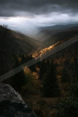 A black-and-white moody landscape of valley, forest, mountains.