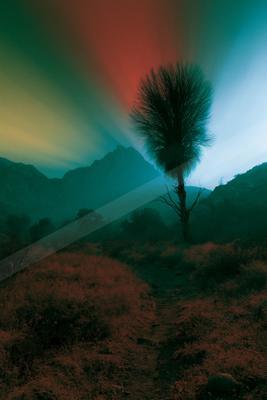 A moody landscape of desert, trees, field.