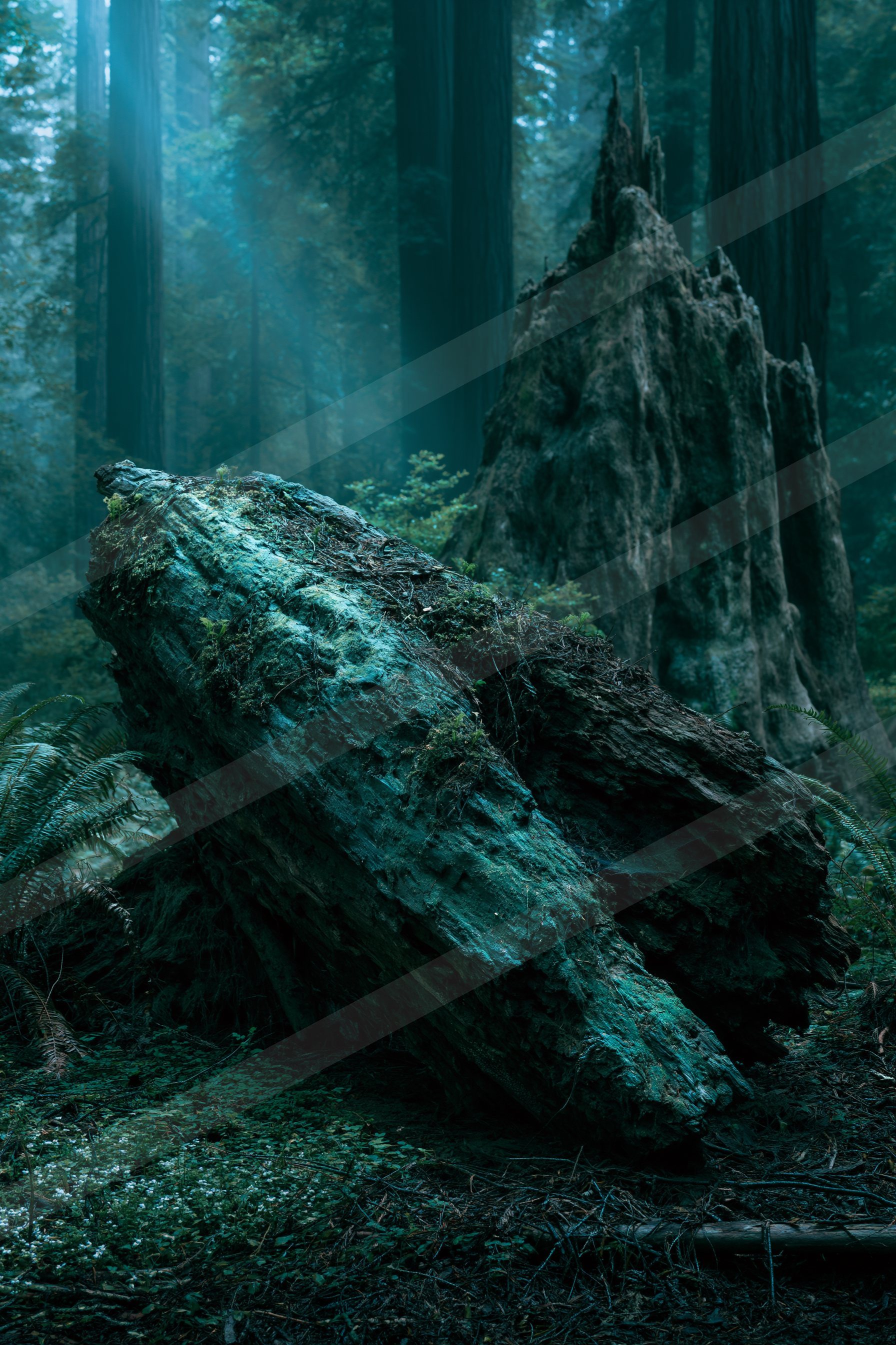 An ethereal nature scene of a forest, rocks.