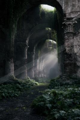 A black-and-white night nature scene of forest, bridge, fog.