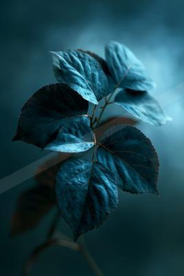 A moody nature scene of plants, flowers, still life.