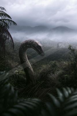 A black-and-white moody wildlife photo of wildlife.