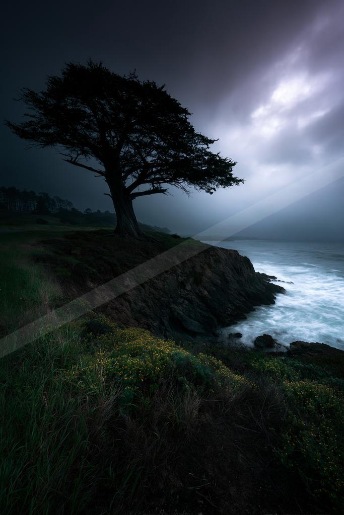 A night long exposure nature scene of trees, storm, ocean.