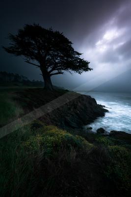 A night long exposure nature scene of trees, storm, ocean.