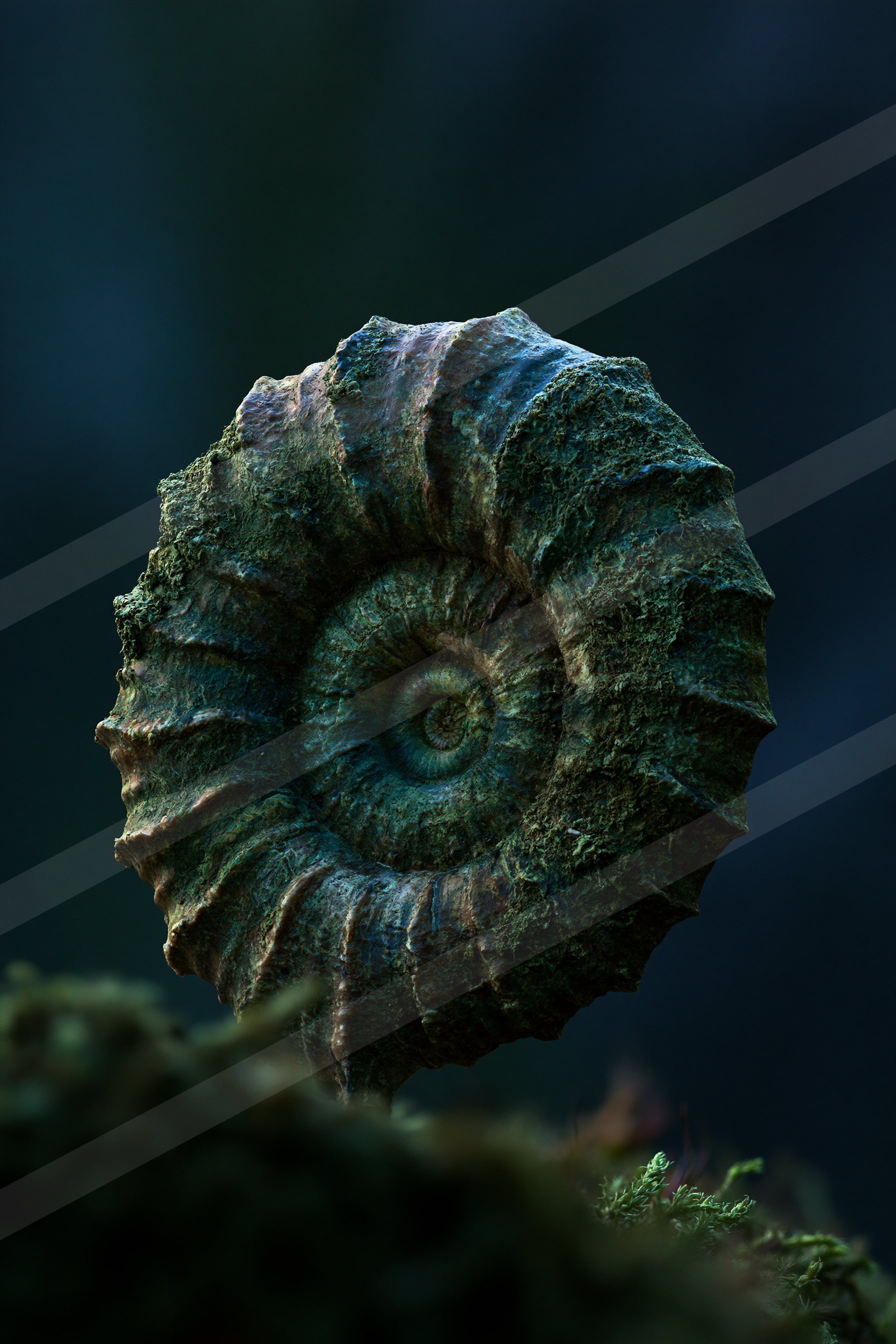 A moody macro nature scene of a fern.