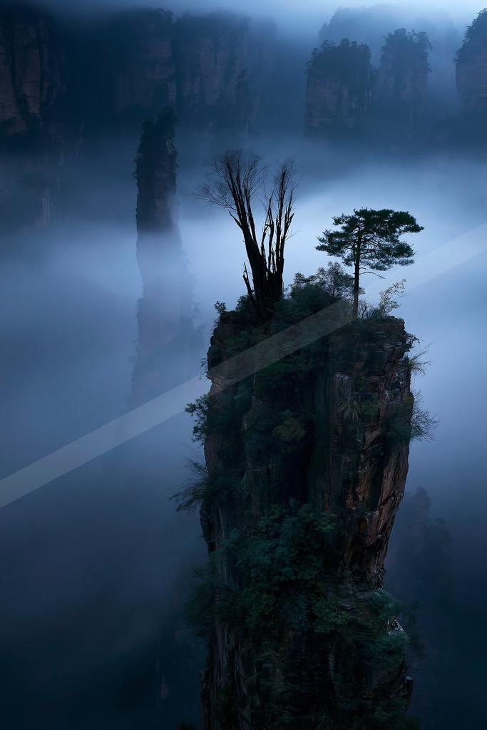 A serene nature scene of trees, mountains, fog.