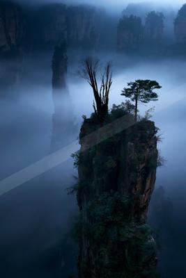 A serene nature scene of trees, mountains, fog.
