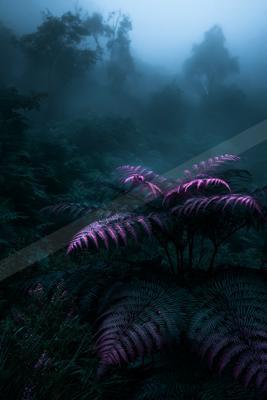 A moody nature scene of plants, forest, ocean.