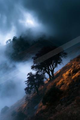 A night long exposure nature scene of trees, storm, valley.