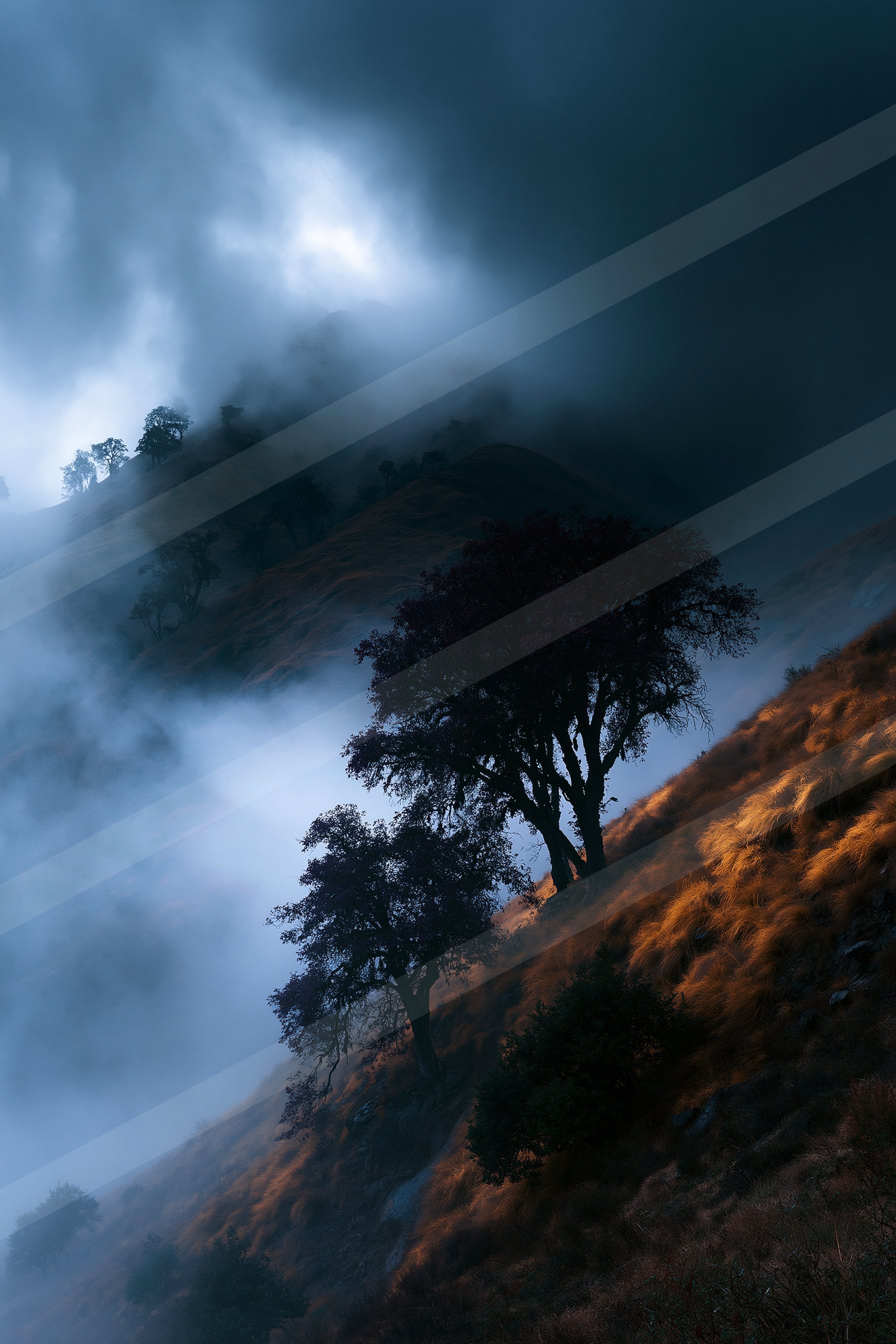 A night high contrast nature scene of an oak tree, fog.