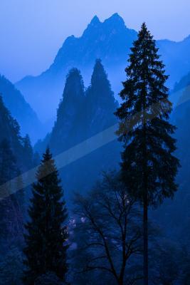 A serene mountain landscape at dusk or dawn, featuring towering peaks shrouded in mist and silhouettes of tall evergreen trees.