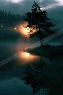 A lone pine tree stands in silhouette on the shore of a calm lake, its reflection visible in the water as the sun rises through thick fog, casting an orange glo