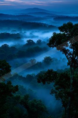 Dense fog fills a vast forested valley at twilight, with silhouetted trees in the foreground and layered mountain ridges fading into the blue distance.