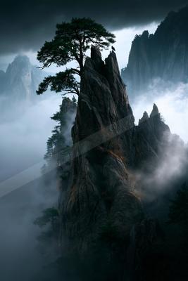 A moody landscape of mountains, forest, trees.