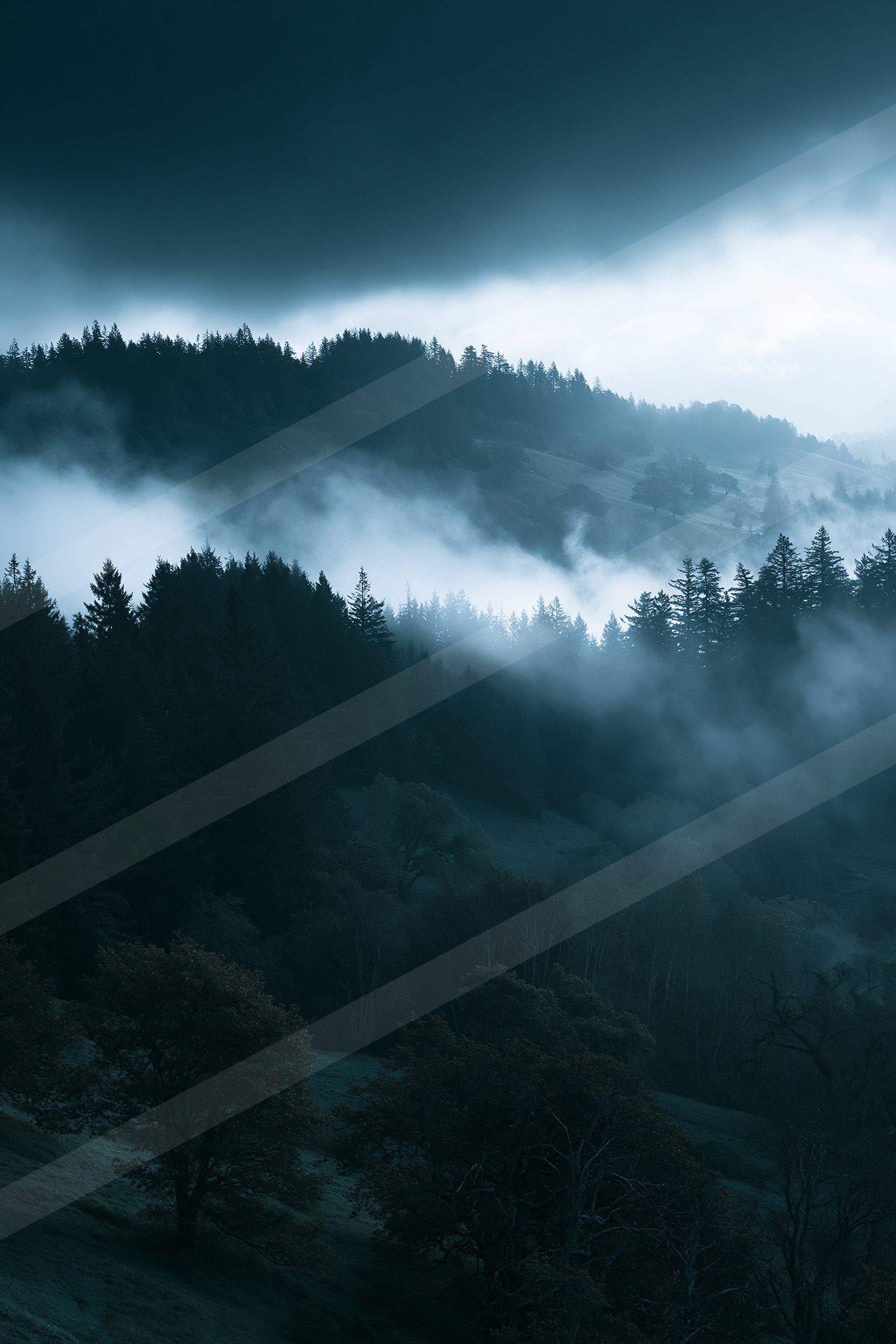 A mysterious high contrast landscape of a rolling hills, fog.