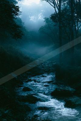 A night water scene of river, fog.