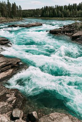 Vibrant turquoise water creates white rapids as it rushes over dark rocks in a fast-flowing river, bordered by a dense evergreen forest under a bright sky.