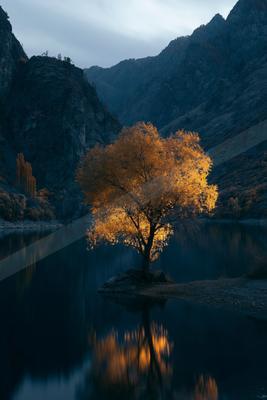 A golden hour nature scene of trees, lake, valley.