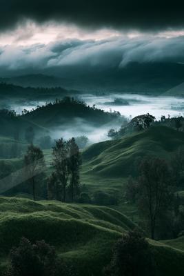 A green-toned moody photograph of alp, valley, hay.