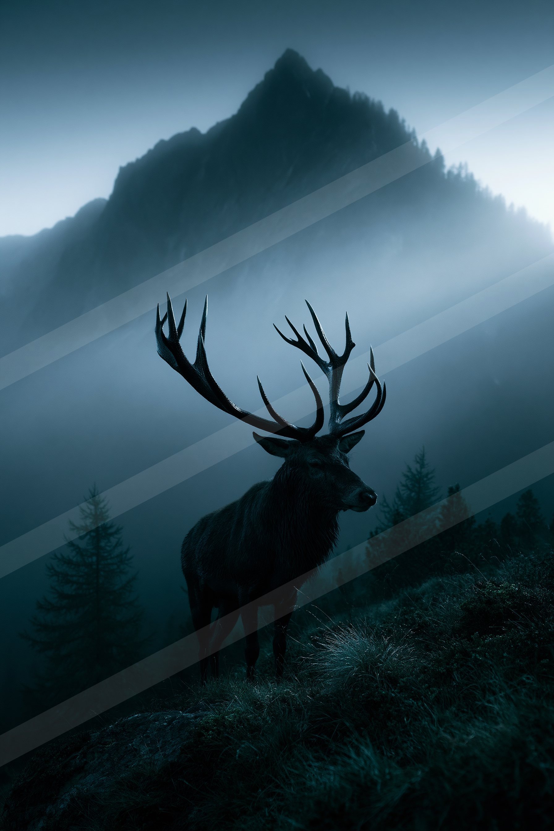Grassy ridge in the misty wilderness.