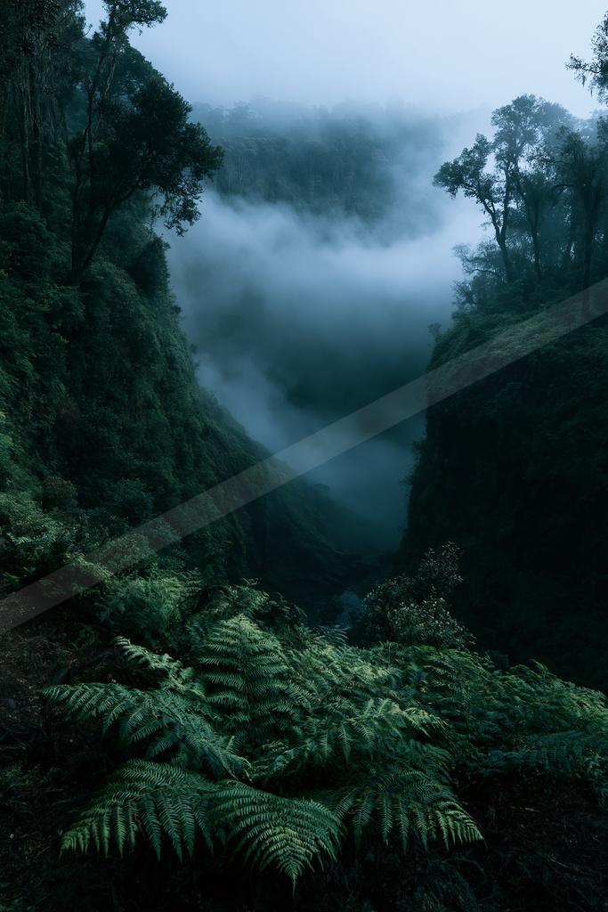 A moody nature scene of forest, valley, mountains.