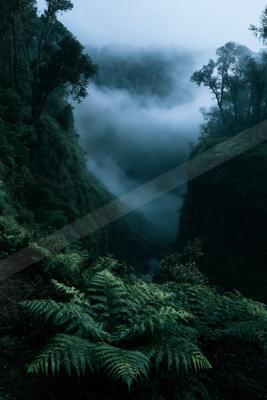 A moody nature scene of forest, valley, mountains.